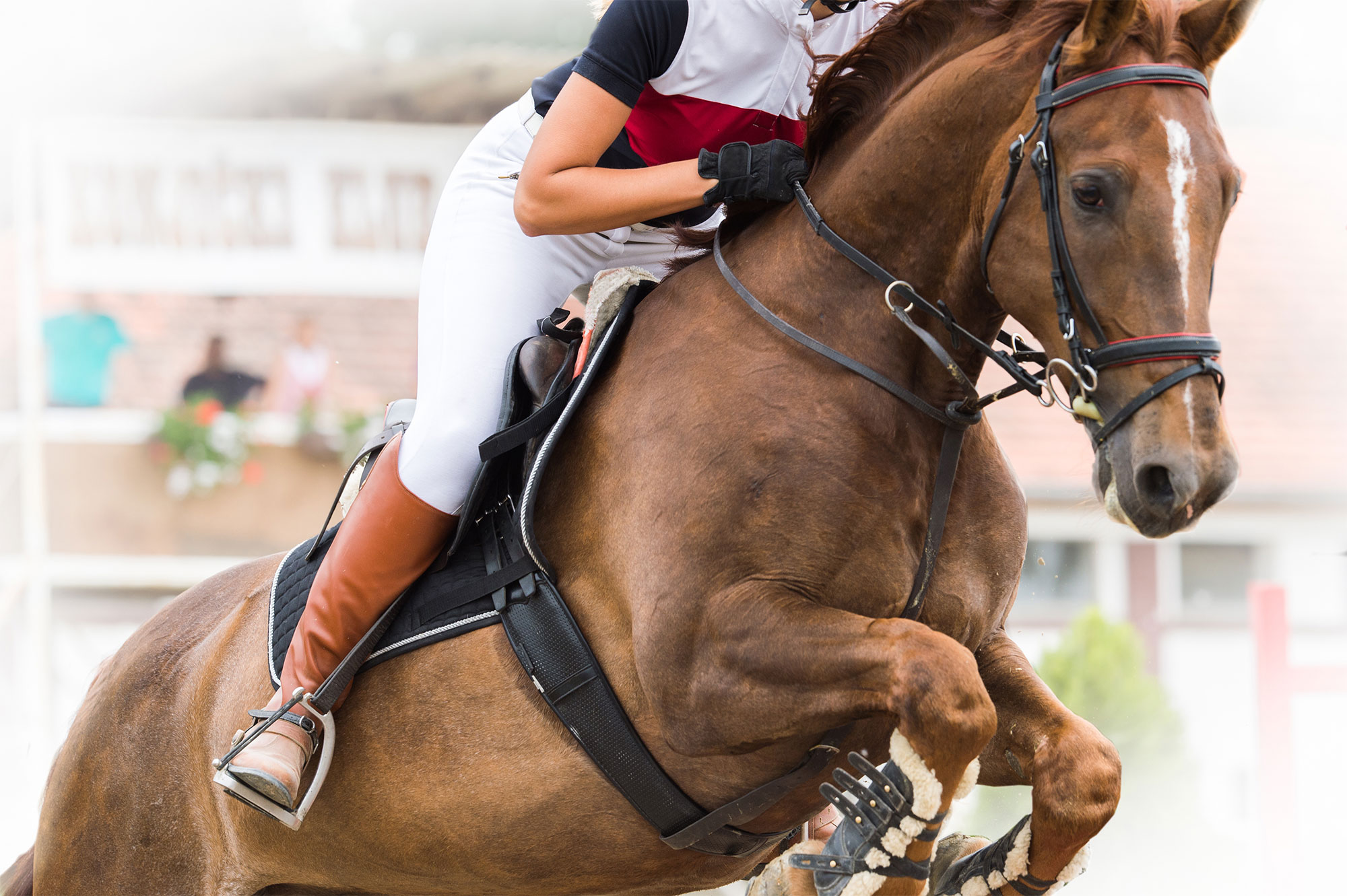 Young equestrian at competition